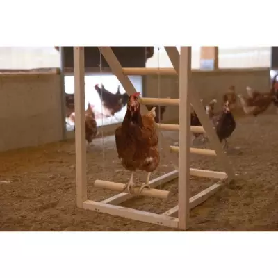 Tour d'escalade pour poules KERBL - Avec balançoire et échelle robuste