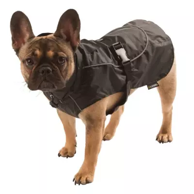 Manteau de Pluie pour Chien Noir Taille L - Protégez votre compagnon !