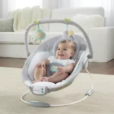 Transat bébé INGENUITY Morrison: Arche amovible, 8 mélodies