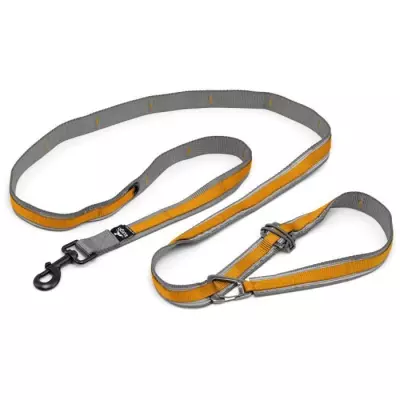 Laisse mains libres orange KURGO - 6 positions - 120 à 180 cm
