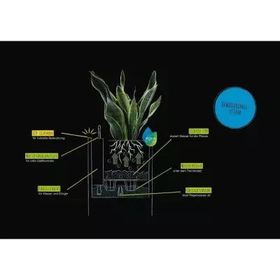 Jardinière LECHUZA avec Poignées Intégrées 446100 - Pot de Fleurs Design