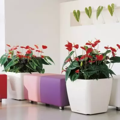 Pot de fleur LEC Quadro Premium LS 50 - Argent métallisé - 15 L - système d'irrigation