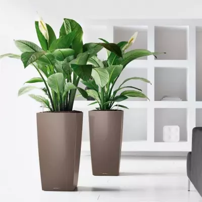 Jardinière Cubico 50 Charbon - Tout en un!
