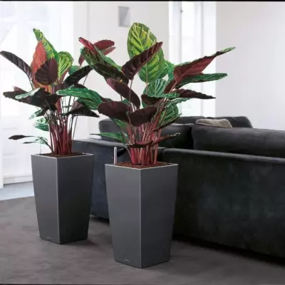 Pot de fleur LEC Cubico Premium 40 Rouge - Kit complet