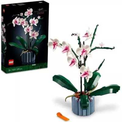 Embellissez votre intérieur avec ces Orchidées LEGO Icons 10311