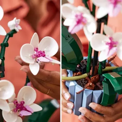 Embellissez votre intérieur avec ces Orchidées LEGO Icons 10311
