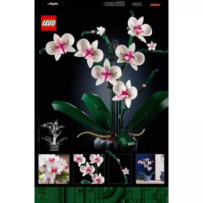 Embellissez votre intérieur avec ces Orchidées LEGO Icons 10311