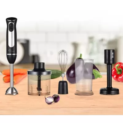 Mixeur plongeant Speed Inox 600 Plus: compact et puissant