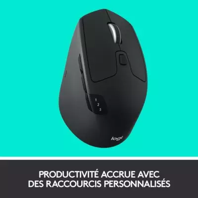 Souris sans fil Logitech M720 Triathlon Noir - Compacte et polyvalente