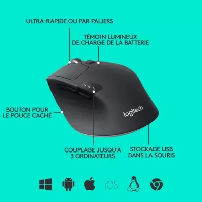 Souris sans fil Logitech M720 Triathlon Noir - Compacte et polyvalente