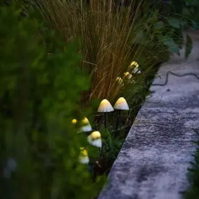 Lot de 10 mini-champignons lumineux solaires pour baliser votre allée