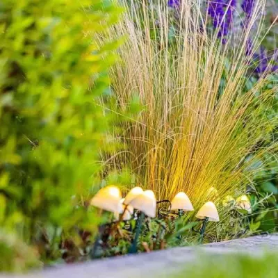 Lot de 10 mini-champignons lumineux solaires pour baliser votre allée