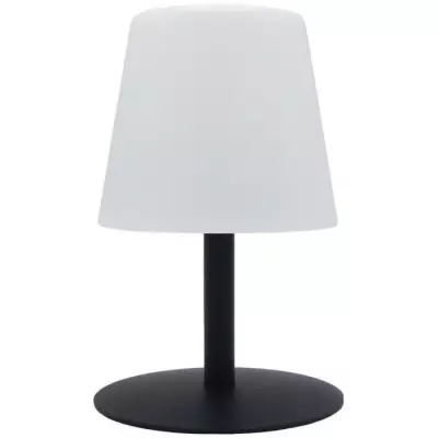 Lampe de table sans fil LUMISKY Standy Mini Dark - Éclairage LED chaud et blanc - H25cm