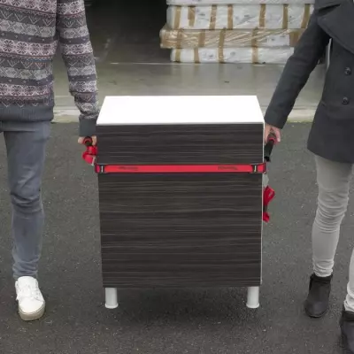 Sangles pour déménagement 80kg - Lot de 2