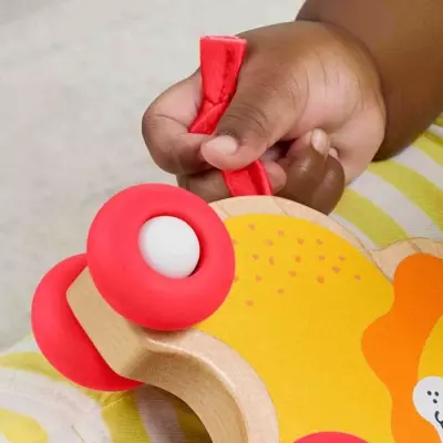 Jouet en bois : Animaux à pousser Fisher-Price - JFN19