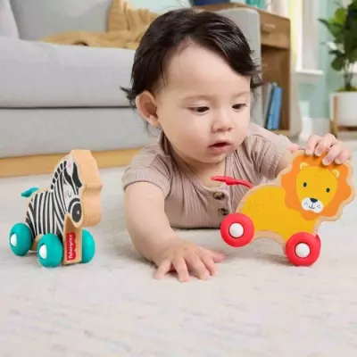 Jouet en bois : Animaux à pousser Fisher-Price - JFN19