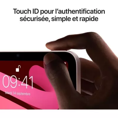 iPad mini (2021) - 8,3 WiFi + Cellulaire - 256 Go - Gris Sidéral - Compact et Puissant
