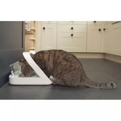 Distributeur de nourriture à puce Surefeed - Blanc - 4 accessoires