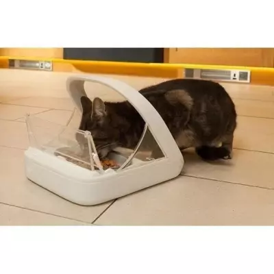 Distributeur de nourriture à puce Surefeed - Blanc - 4 accessoires
