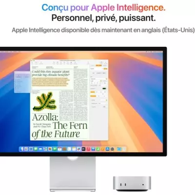 Nouveau Mac mini 2024 Argent - Puce M4 - 16Go RAM - 512Go SSD