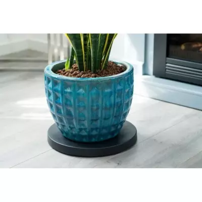 Tablette à roulettes pour plantes - Facilitez le déplacement!