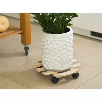Tablette à roulettes pour plantes - Sapin - Déplacez vos plantes avec style