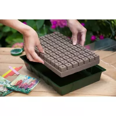 Kit mini propagateur 7x11 cellules | Pack germination & bouturage