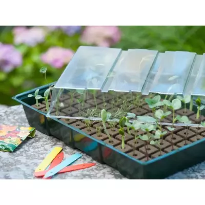 Kit mini propagateur 7x11 cellules | Pack germination & bouturage