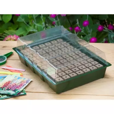Kit mini propagateur 7x11 cellules | Pack germination & bouturage