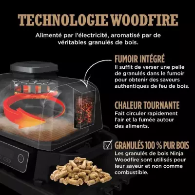 Barbecue électrique NINJA Woodfire OG701EU - Grill, fumoir & air fryer