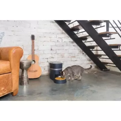 PetSafe Distributeur Automatique Connecté Smart Feed pour Chien/Chat