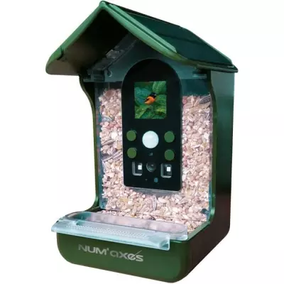 Mangeoire pour oiseaux avec caméra intégrée - Vert - NUM'AXES
