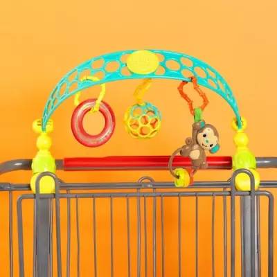 Arche de jeux poussette BRIGHT STARTS Oball 0 mois+ - Amusement assuré!