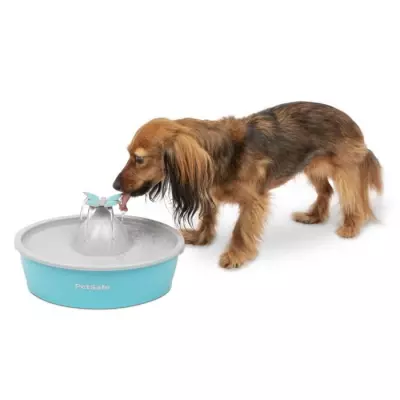 Fontaine pour animaux PETSAFE Drinkwell Papillon 1,5 L - Bleu et Gris - Intérieur