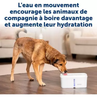 Fontaine à eau PETSAFE VIVA 4,1L Blanc - Idéale pour vos animaux