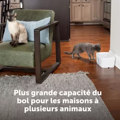 Fontaine à eau PETSAFE VIVA 4,1L Blanc - Idéale pour vos animaux