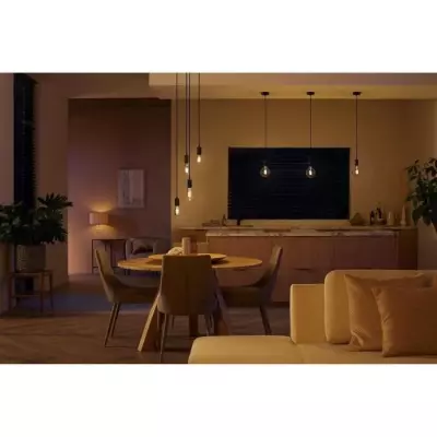 Ampoule LED connectée Philips Hue White Ambiance E27 ST64 