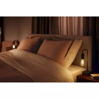 Ampoule LED connectée Philips Hue White Ambiance E27 ST64 