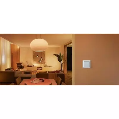 Interrupteur mural Philips Hue - Blanc - Compatible Alexa, Google Assistant et Apple Homekit