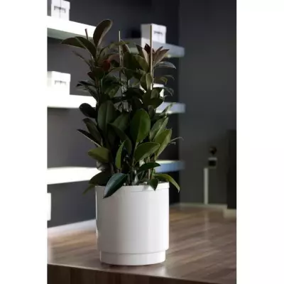 Jardinière avec réserve d'eau - Ø38 cm - Blanc - Idéale pour le jardin