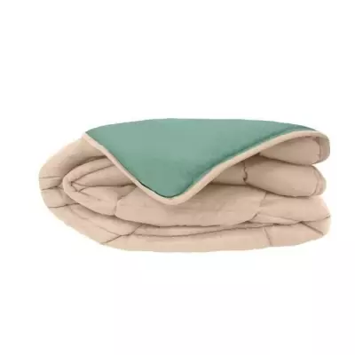 Chaud et confortable : Couette Microfibre 400g/m² Beige & Vert Lac 240x260cm Chaud et confortable : Couette Microfibre 400g/m² Beige & Vert Lac 240x260cm