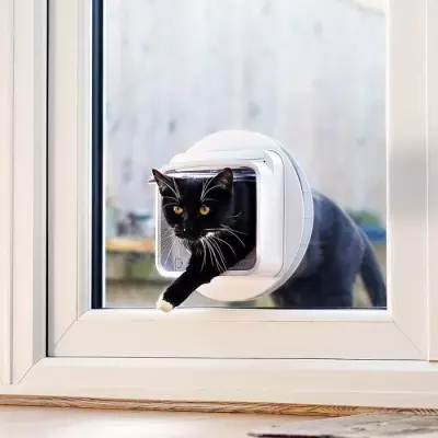 CHATIERE CONNECTEE SUREFLAP Blanc - 142 mm x 120 mm (Avec Hub)
