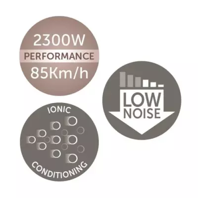 Sèche-Cheveux Professionnel Ionique 2300W - Grille Céramique