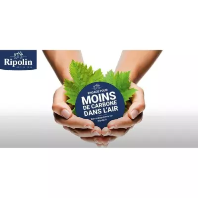 Peinture RIPOLIN PROTECTION EXTREME FACADE TON PIERRE Mat 10 L