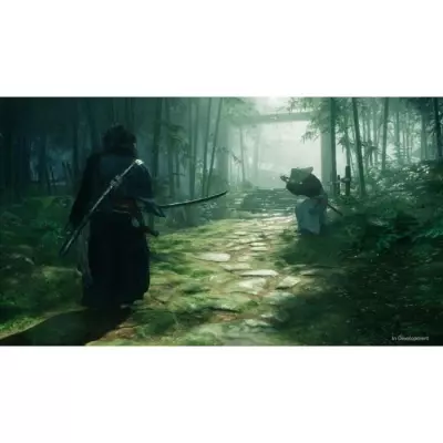 Rise of the Ronin - Jeu PS5 | Dimensions du colis: 14x17x2 cm