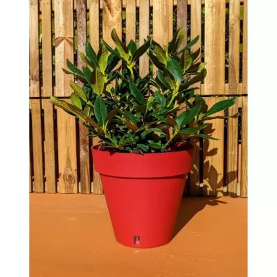 Bac à fleurs rond RIVIERA LOFT - Plastique - Rouge 40 cm