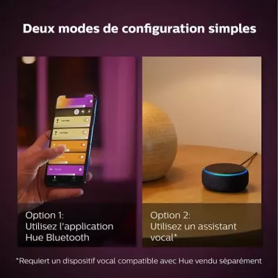 Ampoule intelligente Philips Hue White & Color Ambiance, Iris Bluetooth.