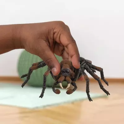 Figurine Aragog de l'univers Harry Potter en schleich 13987 - Idéal pour les enfants dès 6 ans