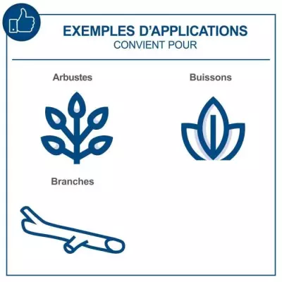 Tronçonneuse sans fil compacte et légère SCHEPPACH 20V IXES