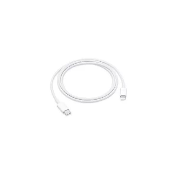 Câble USB-C vers Lightning (1?m) Apple original